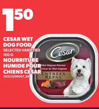 Independent City Market CESAR WET DOG FOOD offer