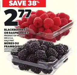 Independent City Market BLACKBERRIES OR RASPBERRIES offer