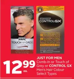 Rexall JUST FOR MEN Comb-In or Touch of Grey or CONTROL GX Men's Hair Colour offer