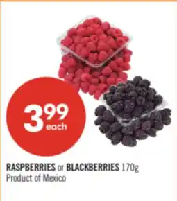 Shoppers Drug Mart RASPBERRIES or BLACKBERRIES offer