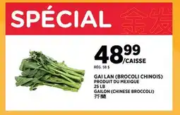 Kim Phat GAILON CHINESE BROCCOLI offer
