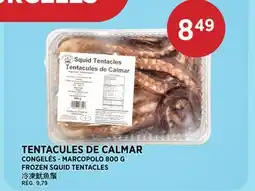 Kim Phat MARCOPOLO FROZEN SQUID TENTACLES offer
