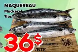 Marche Salaberry MAQUEREAU offer