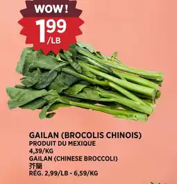 Kim Phat GAILAN CHINESE BROCCOLI offer