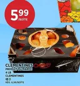 Kim Phat CLEMENTINES offer