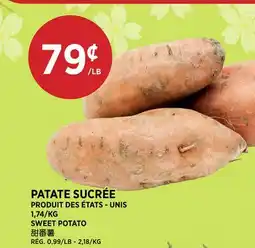 Kim Phat SWEET POTATO offer
