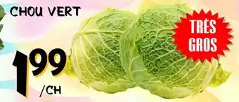 Marche Salaberry CHOU VERT offer