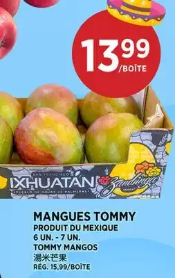 Kim Phat TOMMY MANGOS offer
