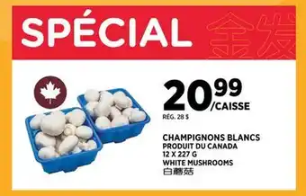 Kim Phat WHITE MUSHROOMS offer