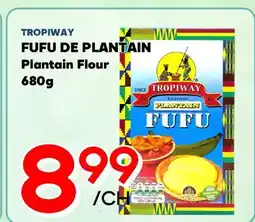 Marche Salaberry TROPIWAY FUFU DE PLAITAIN offer