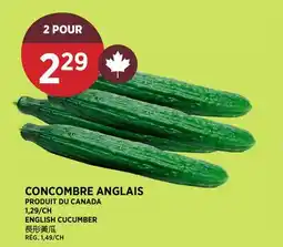 Kim Phat ENGLISH CUCUMBER offer