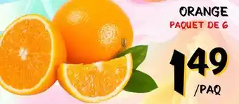 Marche Salaberry ORANGE offer