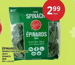 Kim Phat SPINACH offer