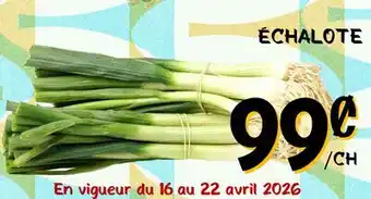 Marche Salaberry ÉCHALOTE offer