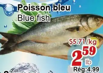 Marche C&T Poisson bleu offer