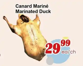 Marche C&T Canard Mariné offer