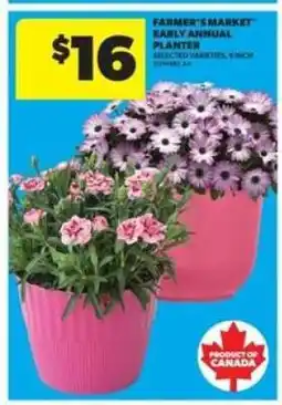Real Canadian Superstore Farmer's Market Early Annual Planter offer