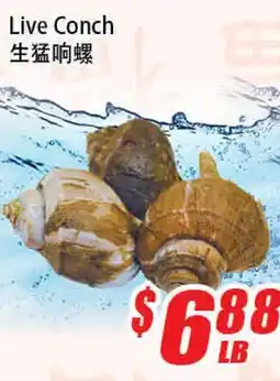 WinCo Food Mart Live Conch offer