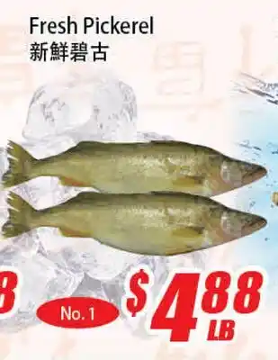 WinCo Food Mart Fresh Pickerel offer