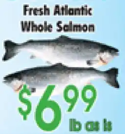 Danforth Food Market Fresh Atlantic Whole Salmon offer
