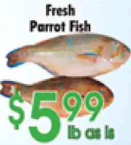 Danforth Food Market Fresh Parrot Fish offer