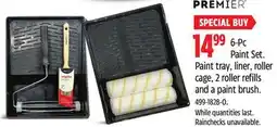 Canadian Tire Premier Paint Set offer