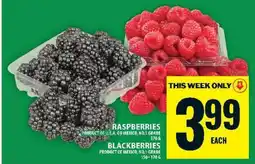 Food Basics Raspberries and Blackberries offer