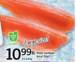 Loblaws Fresh rainbow trout fillet offer