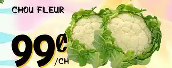 Marche Salaberry CHOU FLEUR offer
