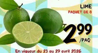 Marche Salaberry LIME offer