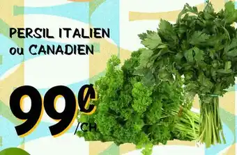 Marche Salaberry PERSIL ITALIEN ou CANADIEN offer