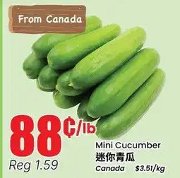 Btrust Supermarket Mini Cucumber offer