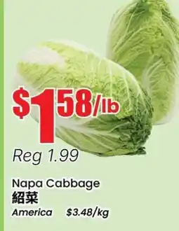 Btrust Supermarket Napa Cabbage offer