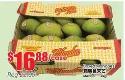 Btrust Supermarket Boxed Mangoes offer