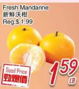 Foody Mart Fresh Mandarine offer
