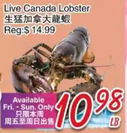 Foody Mart Live Canada Lobster offer