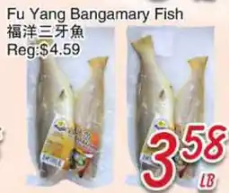 Foody Mart Fu Yang Bangamary Fish offer