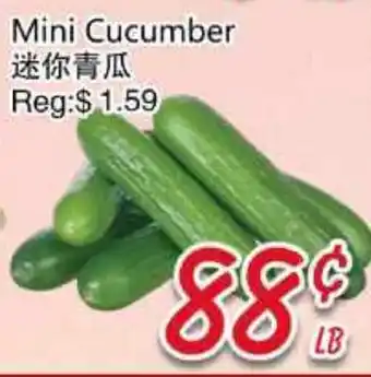 Foody Mart Mini Cucumber offer