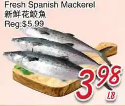 Foody Mart Fresh Spanish Mackerel offer
