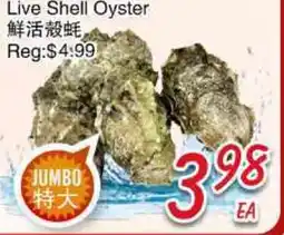 Foody Mart Live Shell Oyster offer