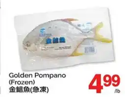 T&T Supermarket GOLDEN POMPANO offer