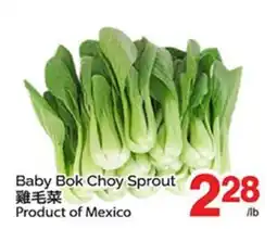T&T Supermarket BABY BOK CHOY SPROUT offer
