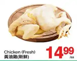 T&T Supermarket CHICKEN offer