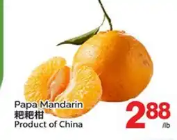 T&T Supermarket PAPA MANDARIN offer