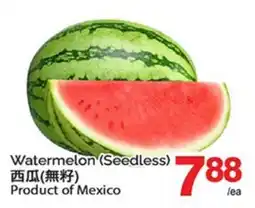 T&T Supermarket WATERMELON offer