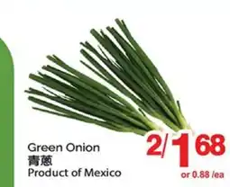T&T Supermarket GREEN ONION offer