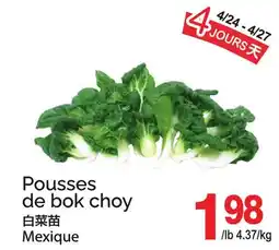 T&T Supermarket POUSSES DE BOK CHOY offer