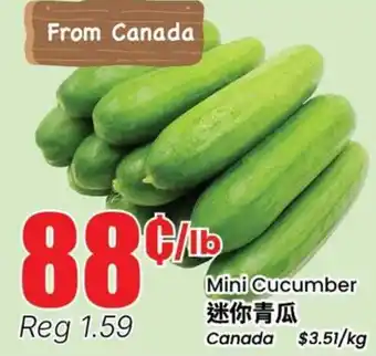 Terra Foodmart Mini Cucumber offer