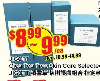 Terra Foodmart JIGOTT Cica Tea Tree Skin Care Selected offer