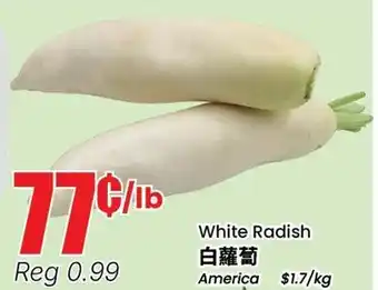 Terra Foodmart White Radish offer